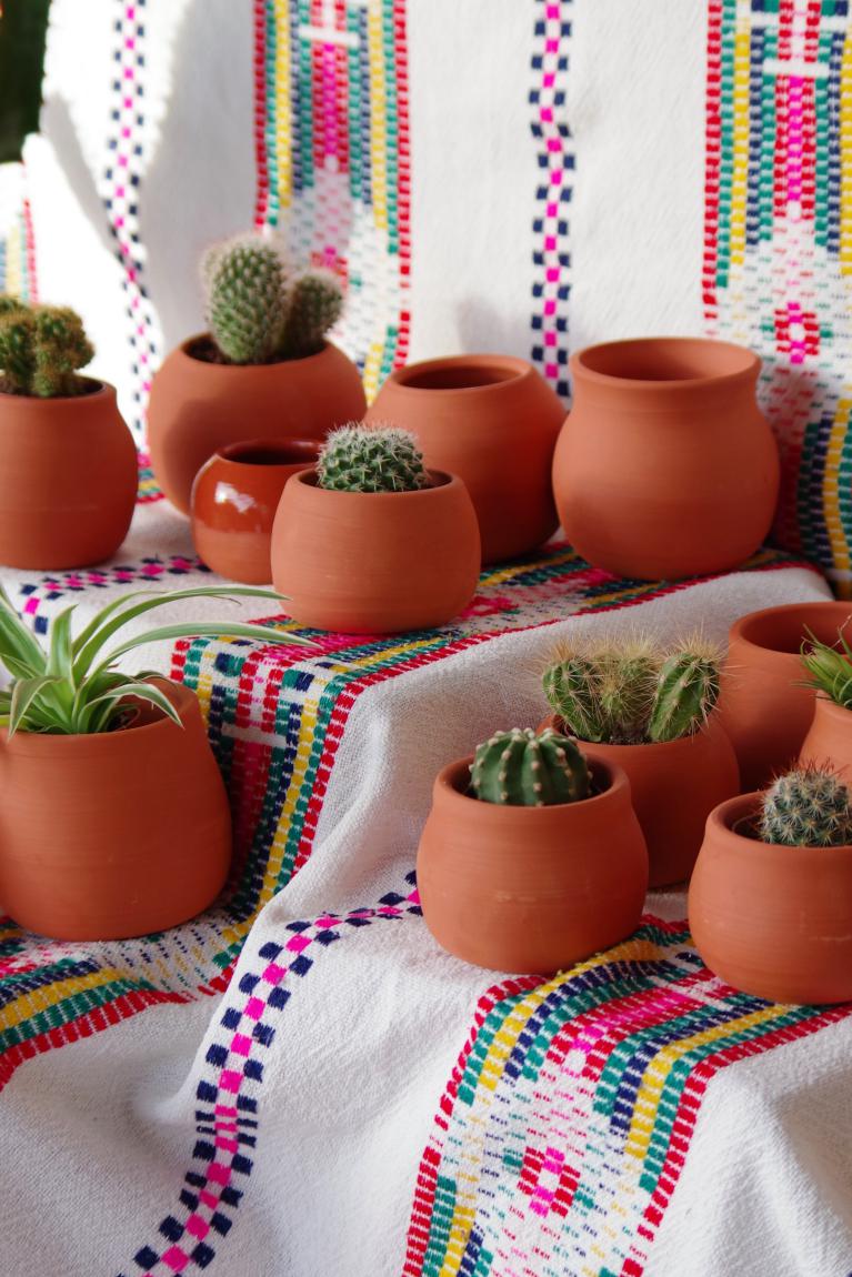 pot a cactus la poterie d'alexandra